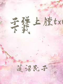 子弹上膛txt下载