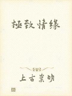 极致情缘