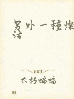 另外一种灿烂生活