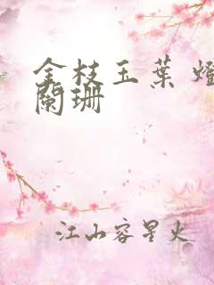 金枝玉叶 灯火阑珊