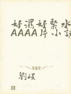 好湿好紧水多AAAAA片小说