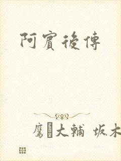 阿宾后传