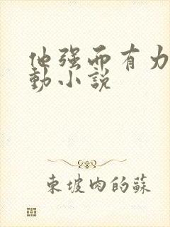 他强而有力的律动小说
