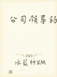 公司领导的老婆