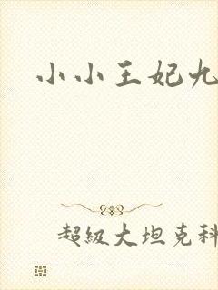 小小王妃九岁半