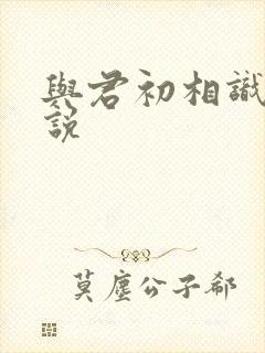与君初相识 小说