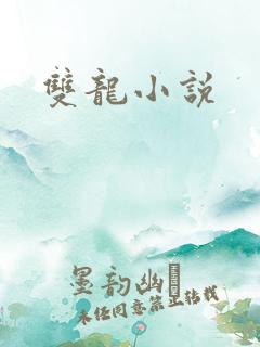 双龙小说