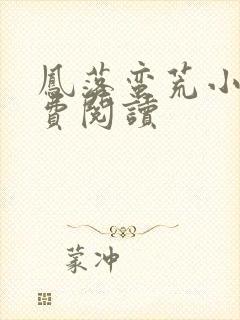 凤落蛮荒小说免费阅读