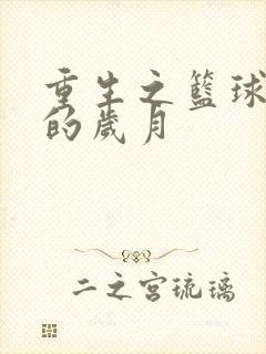 重生之篮球燃烧的岁月