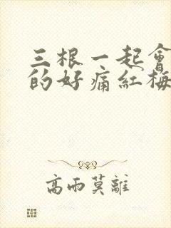 三根一起会坏掉的好痛红梅