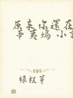 原来你还在这里 辛夷坞 小说