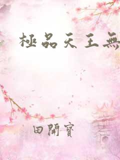 极品天王无弹窗