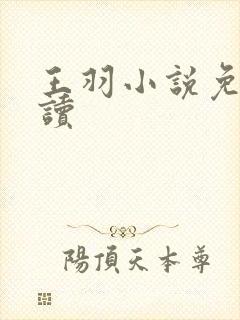 王羽小说免费阅读