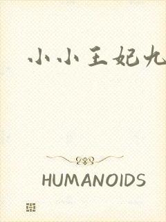 小小王妃九岁半