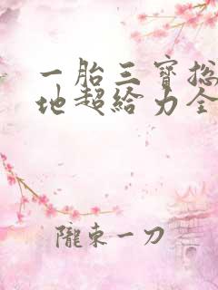 一胎三宝总裁爹地超给力全文免费阅读