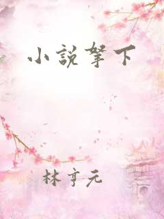小说拿下