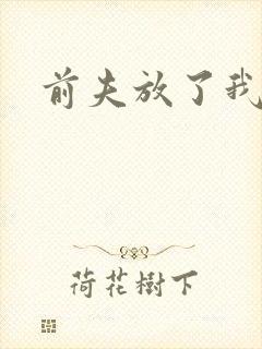 前夫放了我