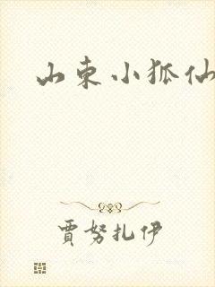 山东小狐仙