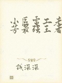 小区电工老周刘芳最强王者