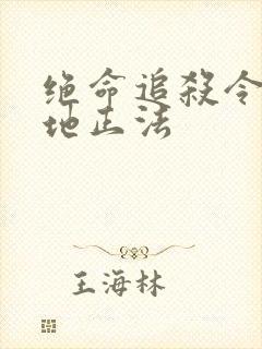 绝命追杀令2就地正法