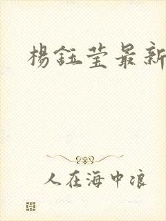 杨钰莹最新小说