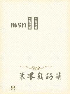 msnС˵