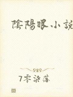阴阳眼小说