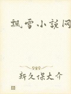 飘雪小说网