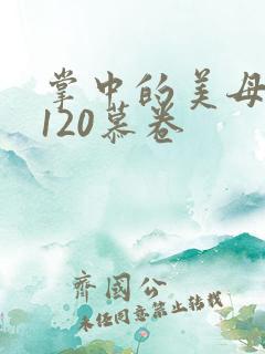 掌中的美母版主120慕卷