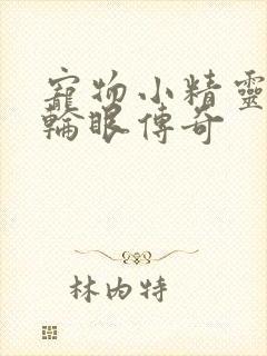 宠物小精灵之写轮眼传奇