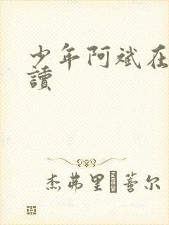 少年阿斌在线阅读