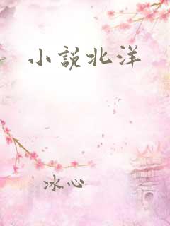小说北洋