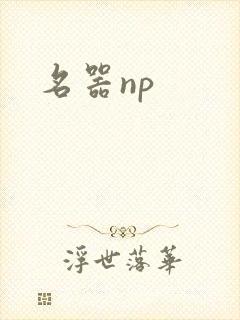名器np