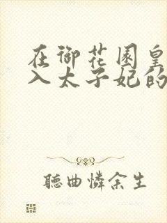 在御花园皇上进入太子妃的小说