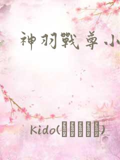 神羽战尊小说