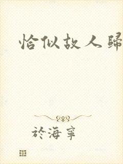 恰似故人归小说