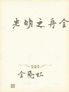 光明之舟金手指