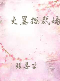 火暴总裁娇柔妻