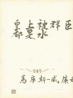 皇上被群臣干的都是水