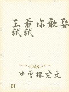 王爷你敢娶小三试试