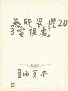 无所畏惧2023电视剧