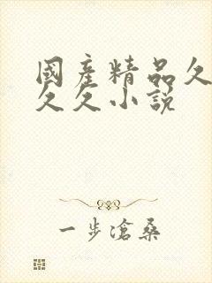 国产精品久久久久久小说