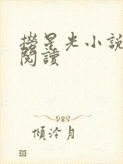 捞星光小说免费阅读