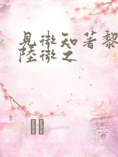 见微知著黎见卿陆微之