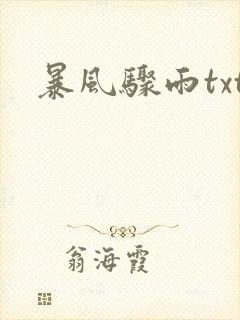 暴风骤雨txt