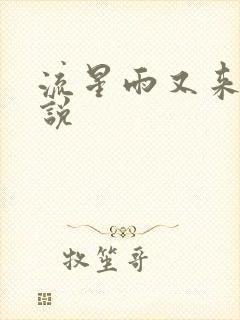 流星雨又来临小说