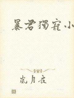 暴君独宠小俏后