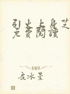 引火上身芝麻糖免费阅读