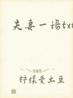 夫妻一场txt