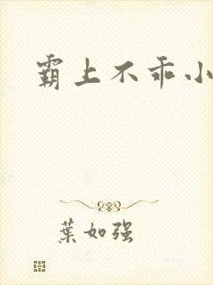 霸上不乖小逃妻